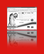 Porno-DVDVersand.com